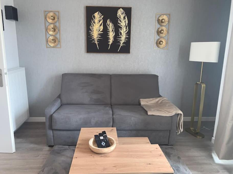 Superbe Appartement Tres Confortable 세리스 외부 사진